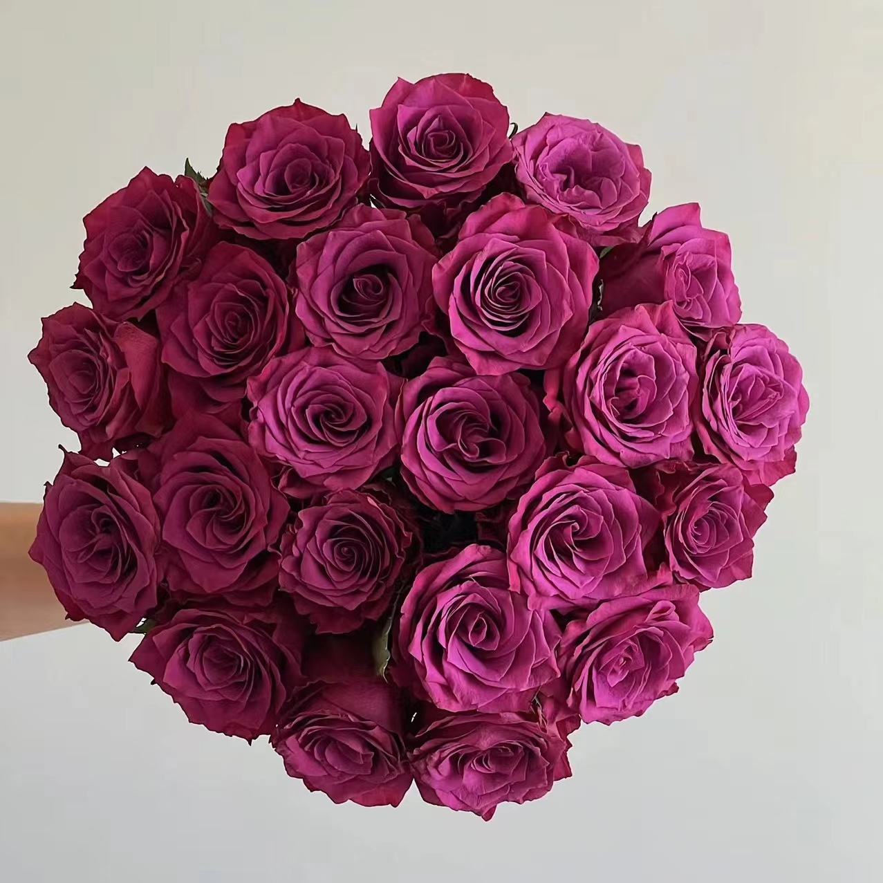 10枝蓝莓单头玫瑰【两单顺丰冷链或京东快递】云南家庭水养鲜切花