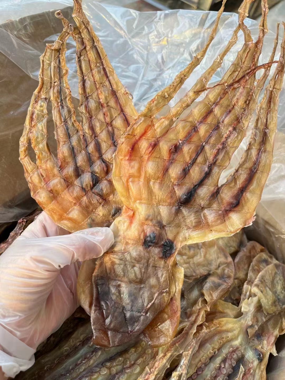 腾晴老友记 13-14头章鱼250-500g