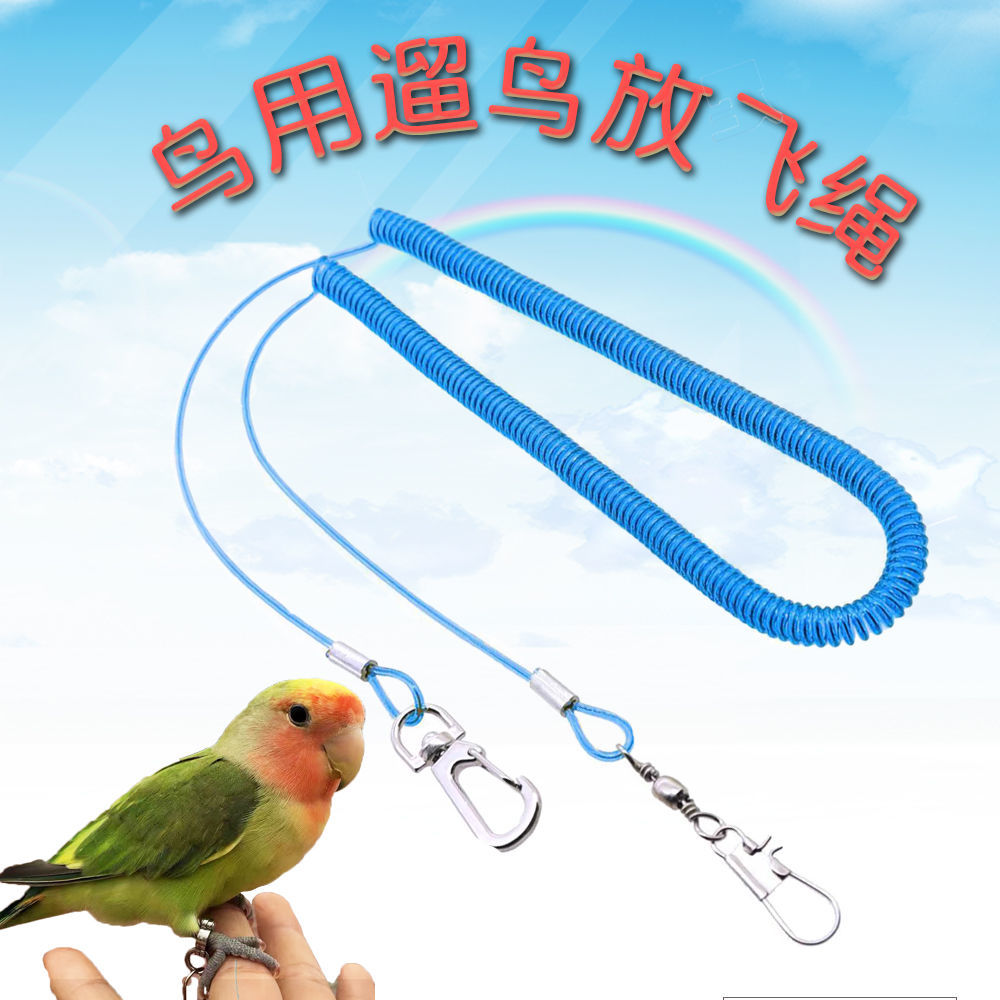 鹦鹉放飞防咬外出遛鸟绳八哥乌鸦玄凤虎皮牡丹训练飞行脚链脚环绳