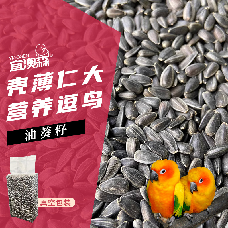 黑珍珠小瓜子油葵籽鹦鹉鸟食鸽子仓鼠松鼠零食鸟粮真空小瓜籽饲料