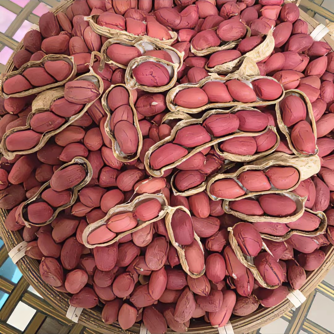 2025年红皮四粒红带壳手工挑拣干花生2斤3斤5斤10斤农产品食用