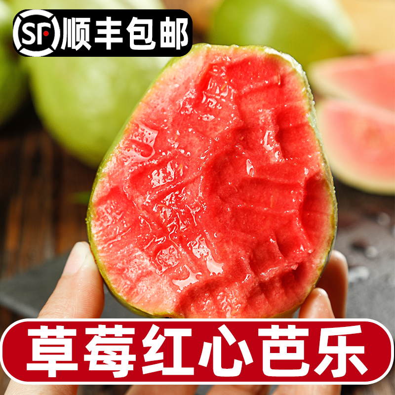 【顺丰包邮】草莓红心软芭乐 当季新鲜水果新鲜采摘 番石榴2-5斤