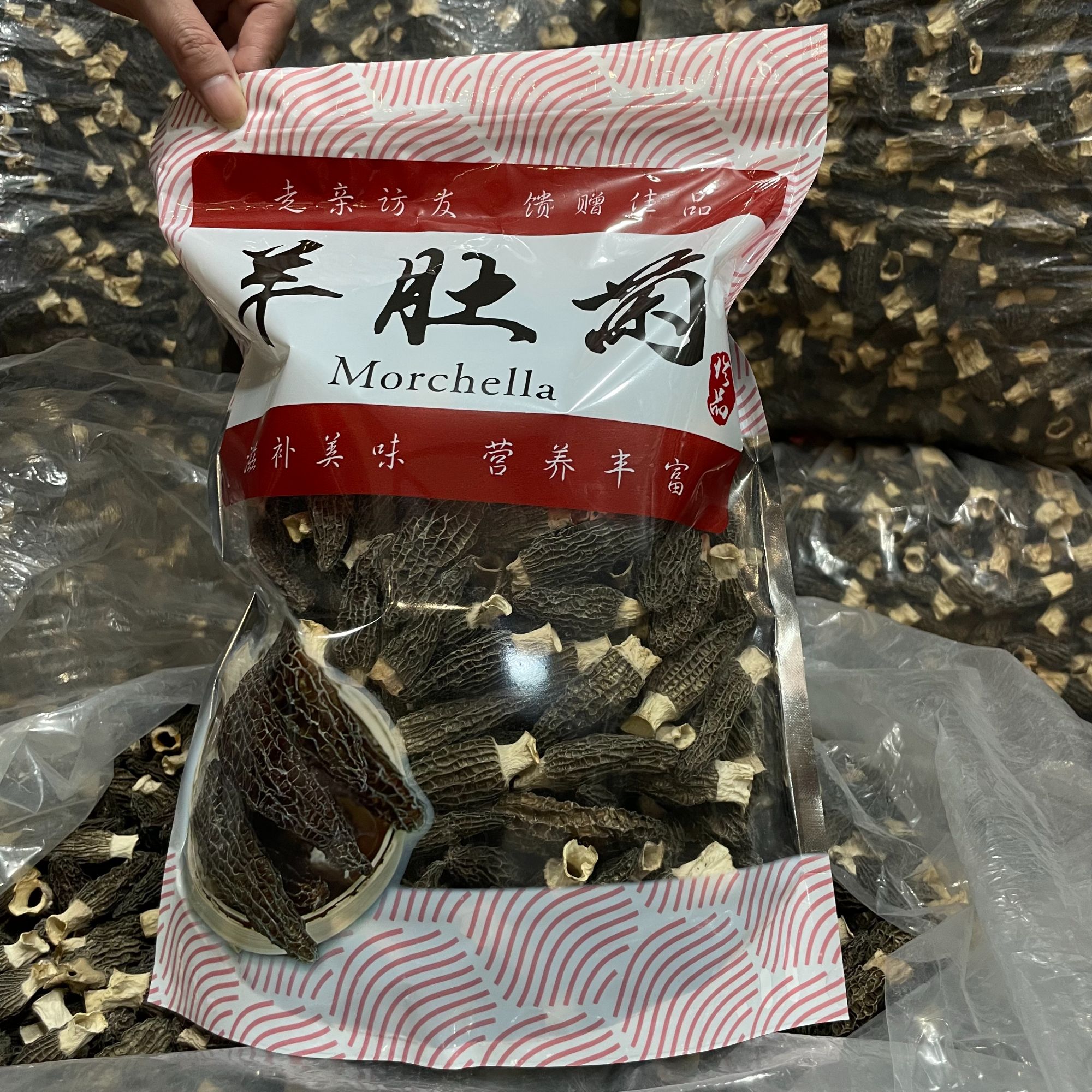 【升发】.【羊肚菌】