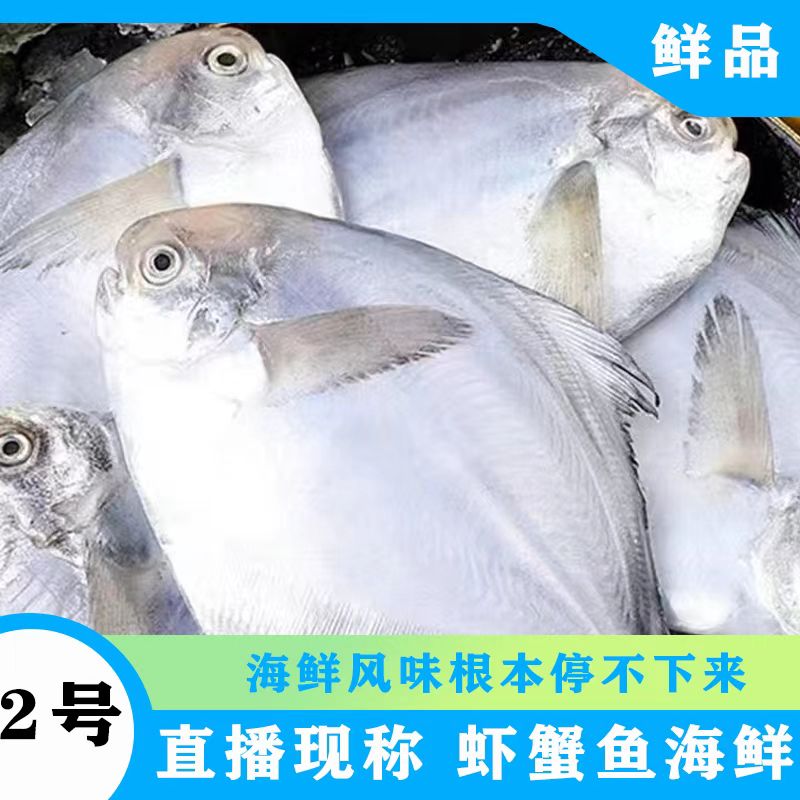 （现场称重2号）浙江舟山野生海钓鱼、虾、蟹1500克左右/份