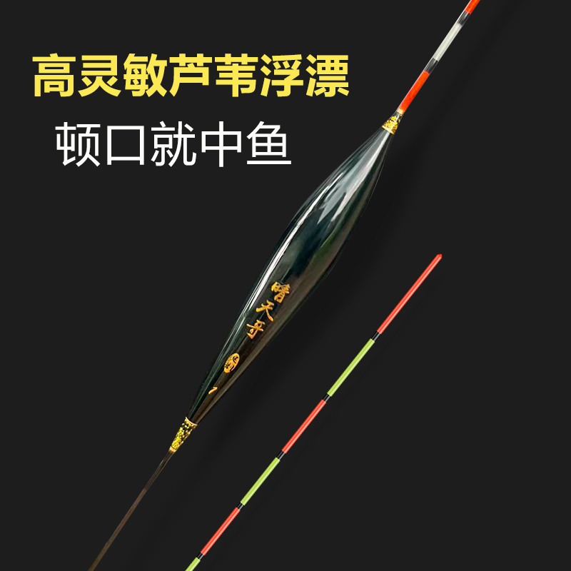 晴天哥栆核形芦苇浮漂醒目高灵敏底钓钓鱼加粗尾浮漂醒目