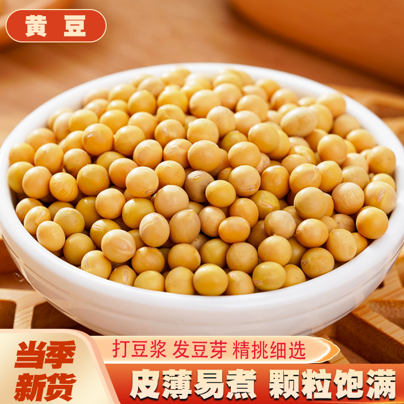 黄豆新货 农家自产东北大豆土黄豆发豆芽榨豆浆新鲜五谷杂粮粗粮