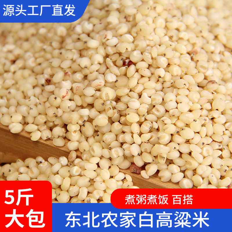 新米 5斤高粱米 新货煮粥煮饭健康粗粮五谷杂粮东北甄选白高粱米
