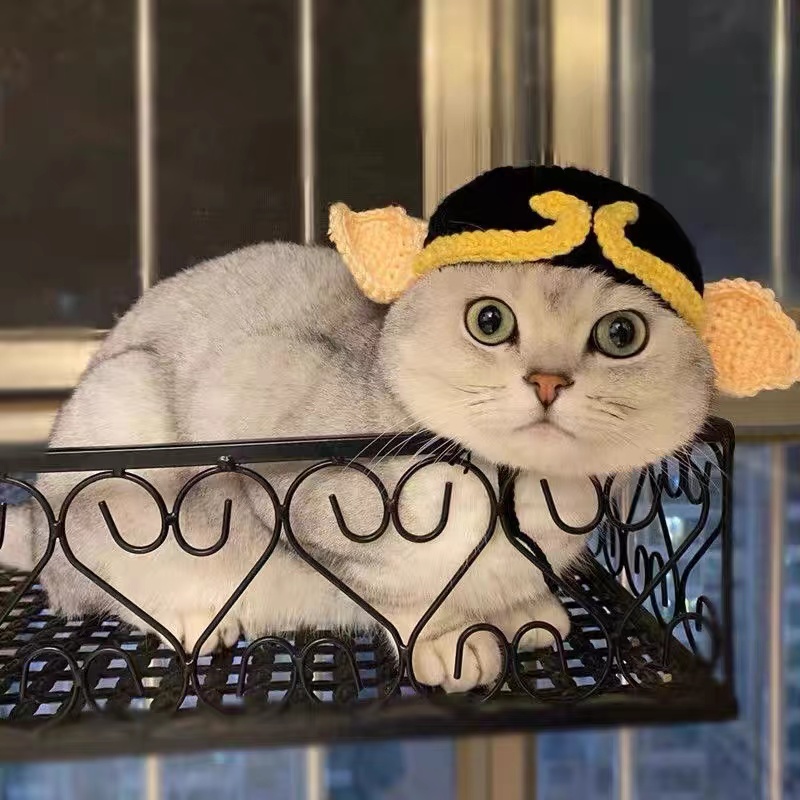 搞怪时尚猪八戒针织头套可爱宠物毛线网红变装帽子狗狗头饰西游记