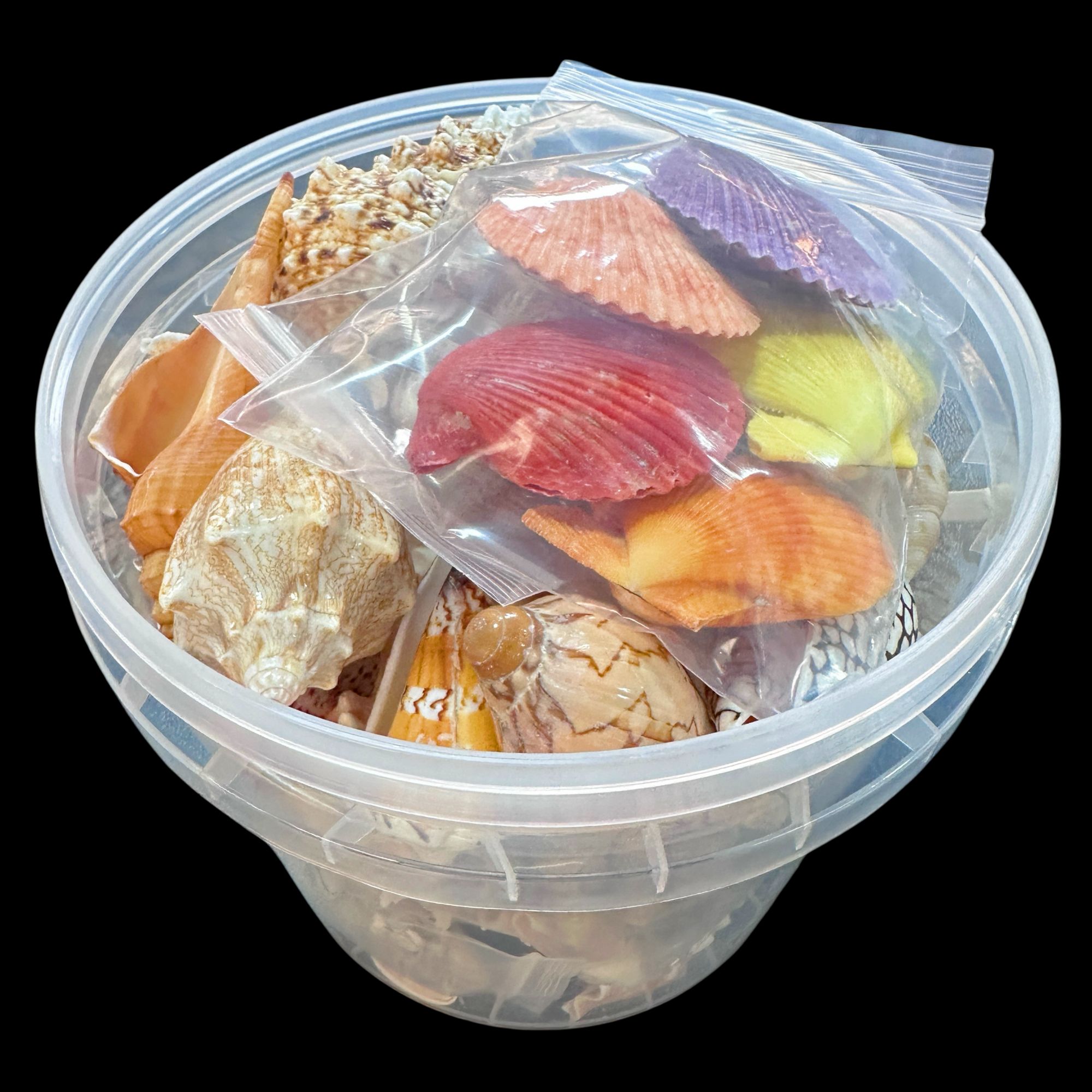 【贝壳大礼包】4000ml大号鱼缸专用！天然贝壳！鱼缸造景摆件（20）