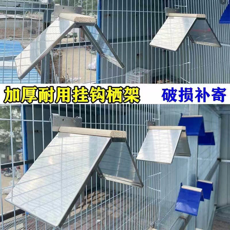 鸽子栖架站架赛鸽休息架站架信鸽用品用具不锈钢栖息架不锈钢站架