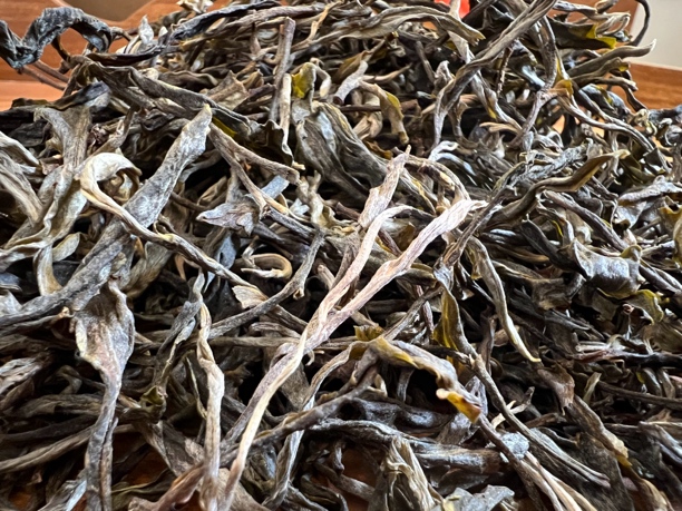 【临沧古树茶】正宗古树普洱生茶100克百年古树早春嫩芽采摘送茶样