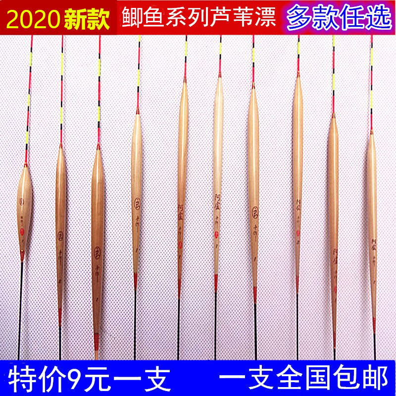 A鲫鱼水浮漂啊卢鱼漂醒目芦苇漂长身防风高灵敏度罗非芦苇浮漂加