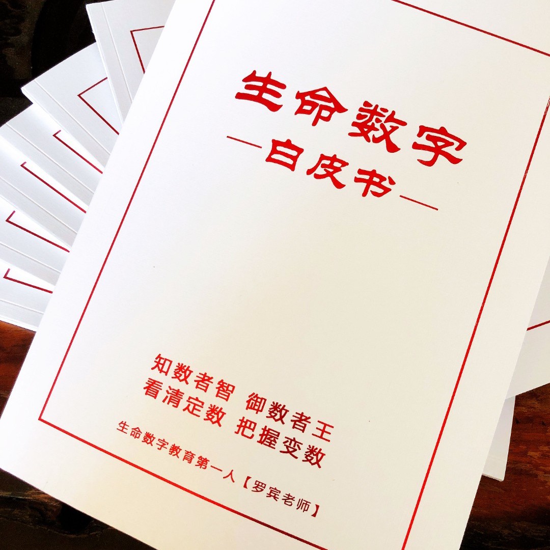《生命数字》白皮书
