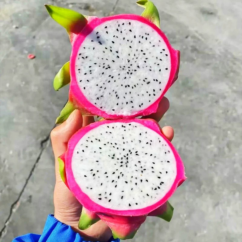 白肉火龙果2斤左右