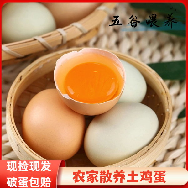 农村散养土鸡蛋.柴鸡蛋.新鲜营养健康单枚45克至50克顺丰送货上门