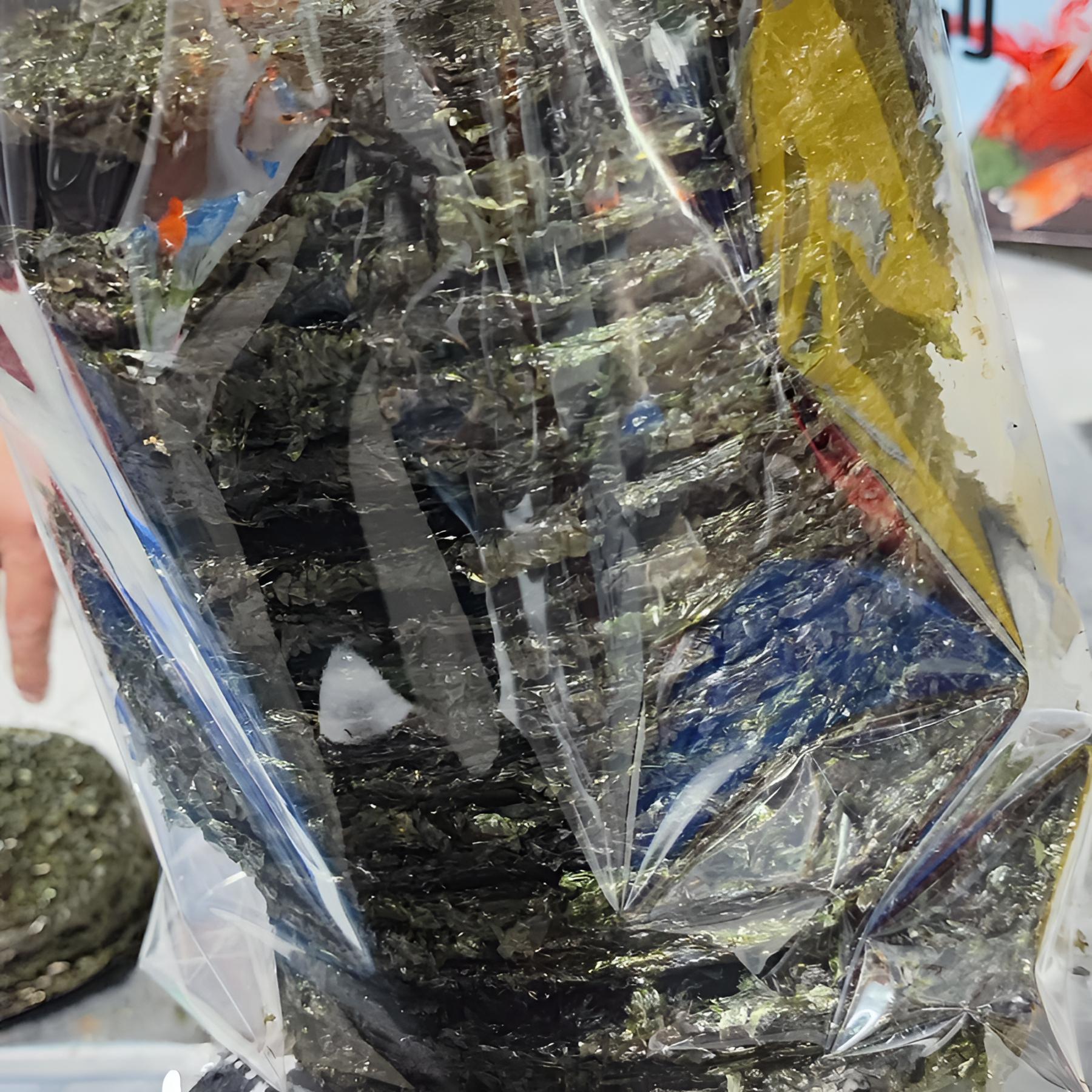 【南澳头水绿菜】手工免洗无沙头水菜袋装煲汤精选营养海产散装零食
