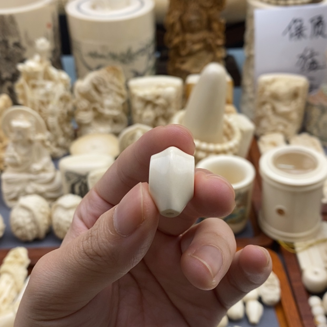 【闪购商品】猛犸牙根雕晚*?