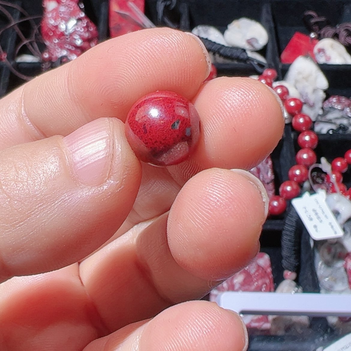 【闪购商品】111111111