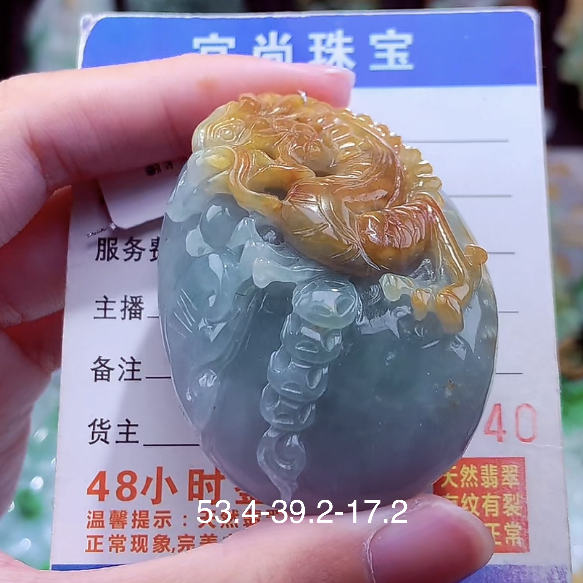 天然A货翡翠双彩龙牌吊坠