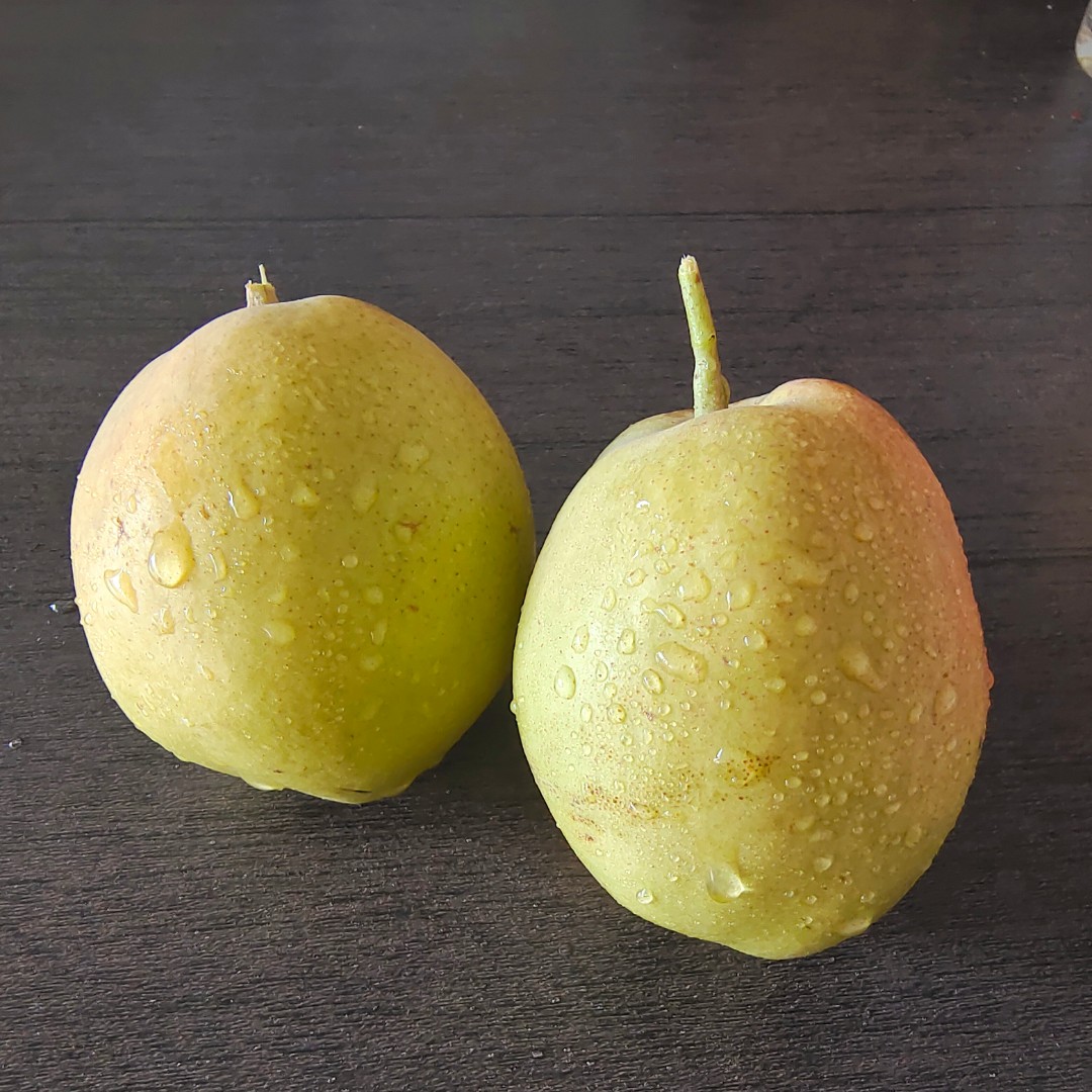 【中通】新疆清甜小香梨5斤一级果中果 单果重量100g左右