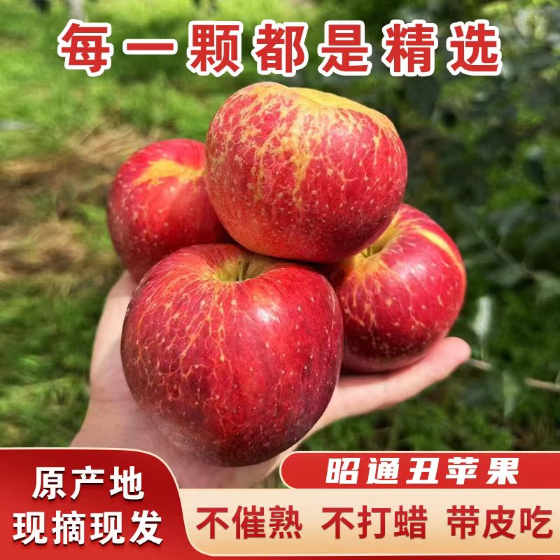 【现摘现发】当季原生态昭通丑苹果冰糖心新鲜好吃山里糖心苹果
