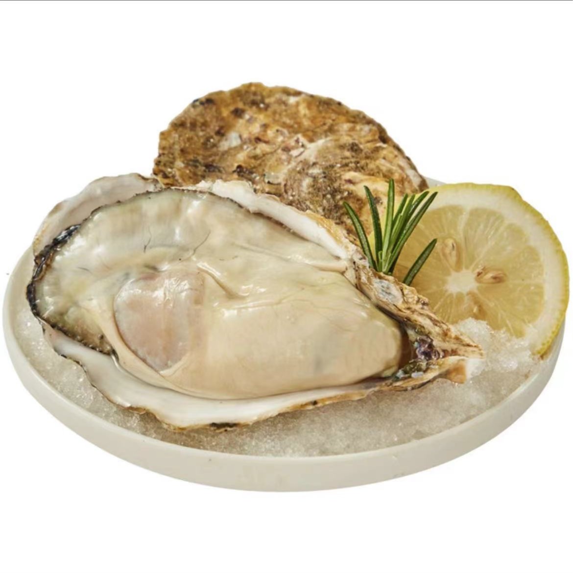 鲜活乳山生蚝（单个）