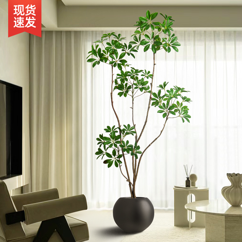仿生大型绿植鸭脚木植物装饰室内景观高端轻奢客厅摆设落地仿真树
