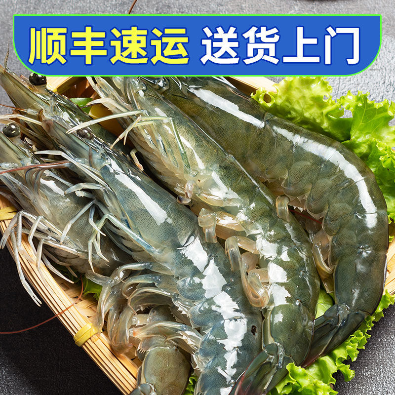 【冷链闪送】青岛大虾鲜活基围虾青虾冷冻鲜对虾海虾批发海捕大虾