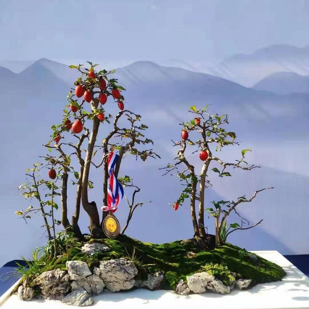 老鸦柿盆景素材随机发价格不同桩子不同植物带土裸根夏季紫红色