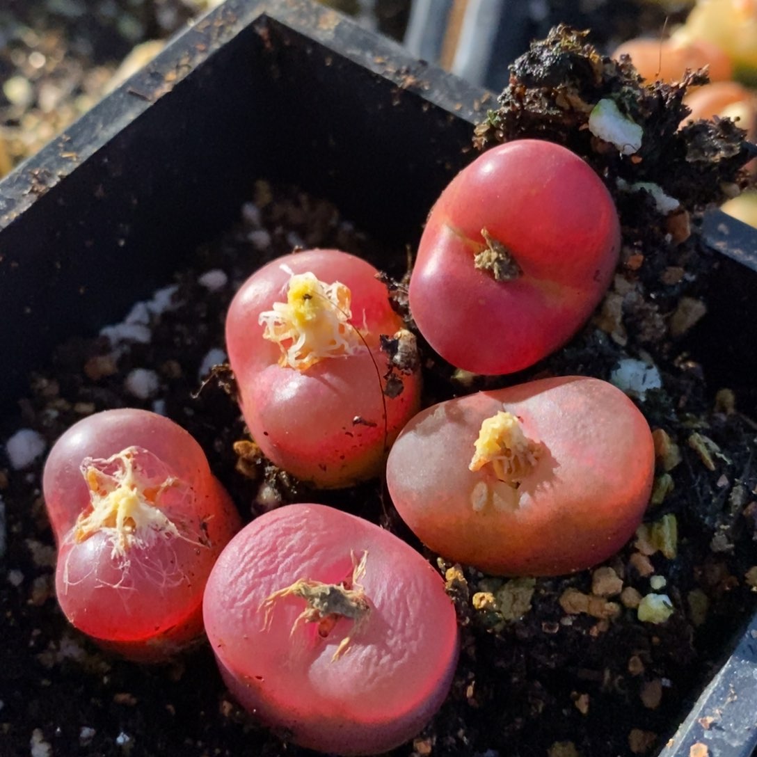 1310一组一组一组