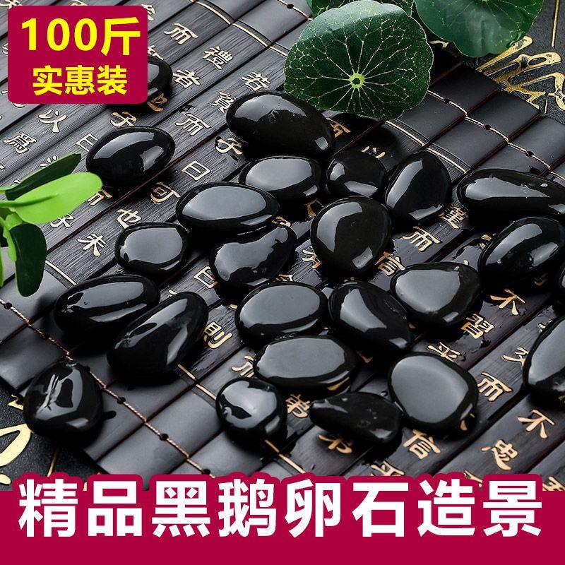 100斤黑色鹅卵石天然雨花石花园造景庭院铺路石头鱼缸装饰小石子