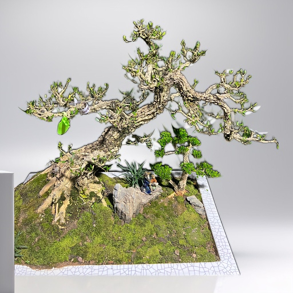 黄杨盆景岭南剪枝怪桩骨架截干蓄枝老桩盆栽四季常青绿植