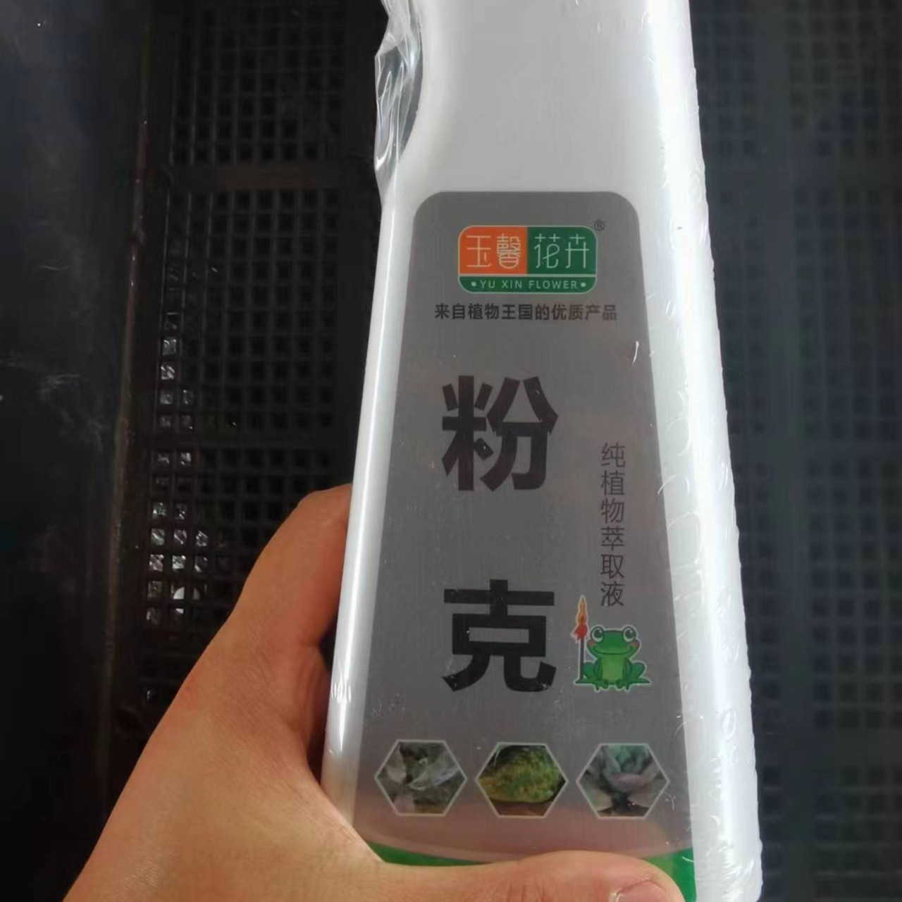 粉克  多肉营养液  【除菌专用】