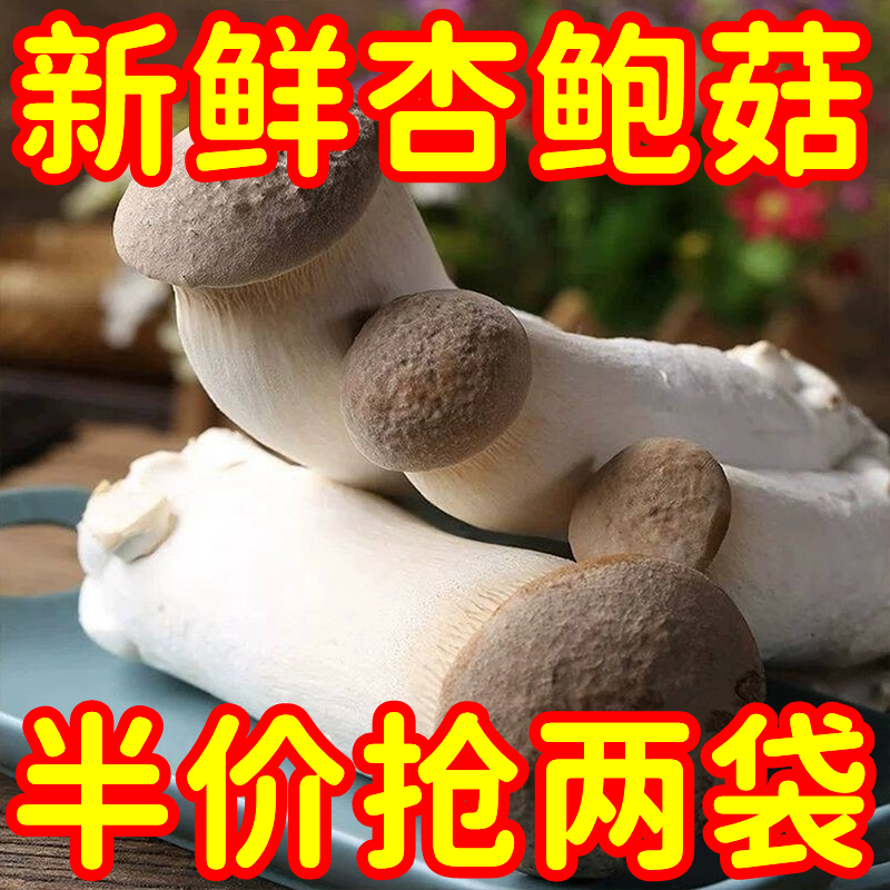 立减20】高品质新鲜杏鲍菇两斤装 杏仁香味鲍鱼口感老香了食用
