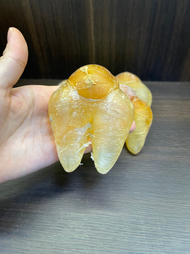 【玖中庭】鸡泡胶26头老鸡泡胶（1-500克）