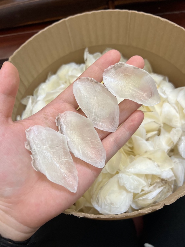 【玖中庭】本港野生赤嘴鰵鱼鳞精选煲汤必备干货