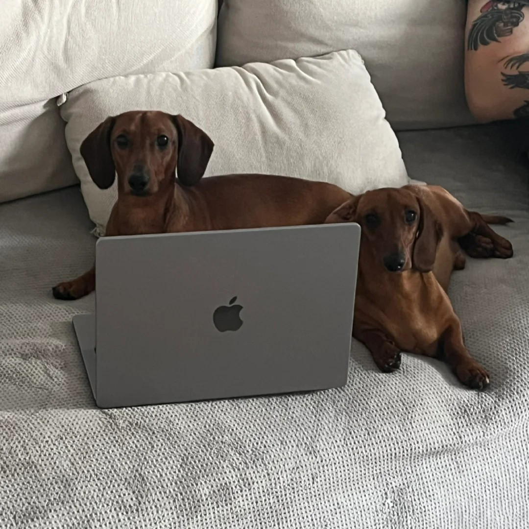 95新 Apple/苹果 笔记本电脑MacBookair超轻薄学生学习网课设计本