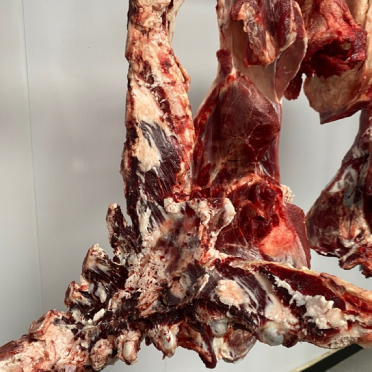 牛燕翅骨 冷链发货