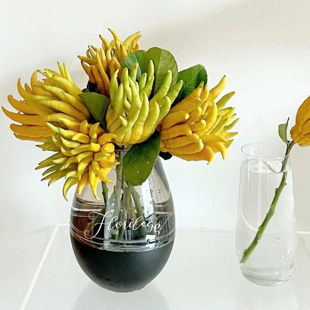 【佛手柑】清新格调香薰精品应季装饰花材鲜花（店内任意三单包邮）