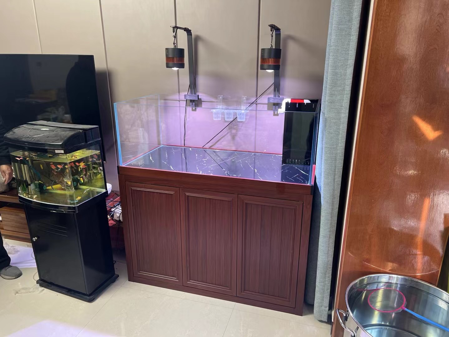 金鱼兰寿鱼缸定金100元