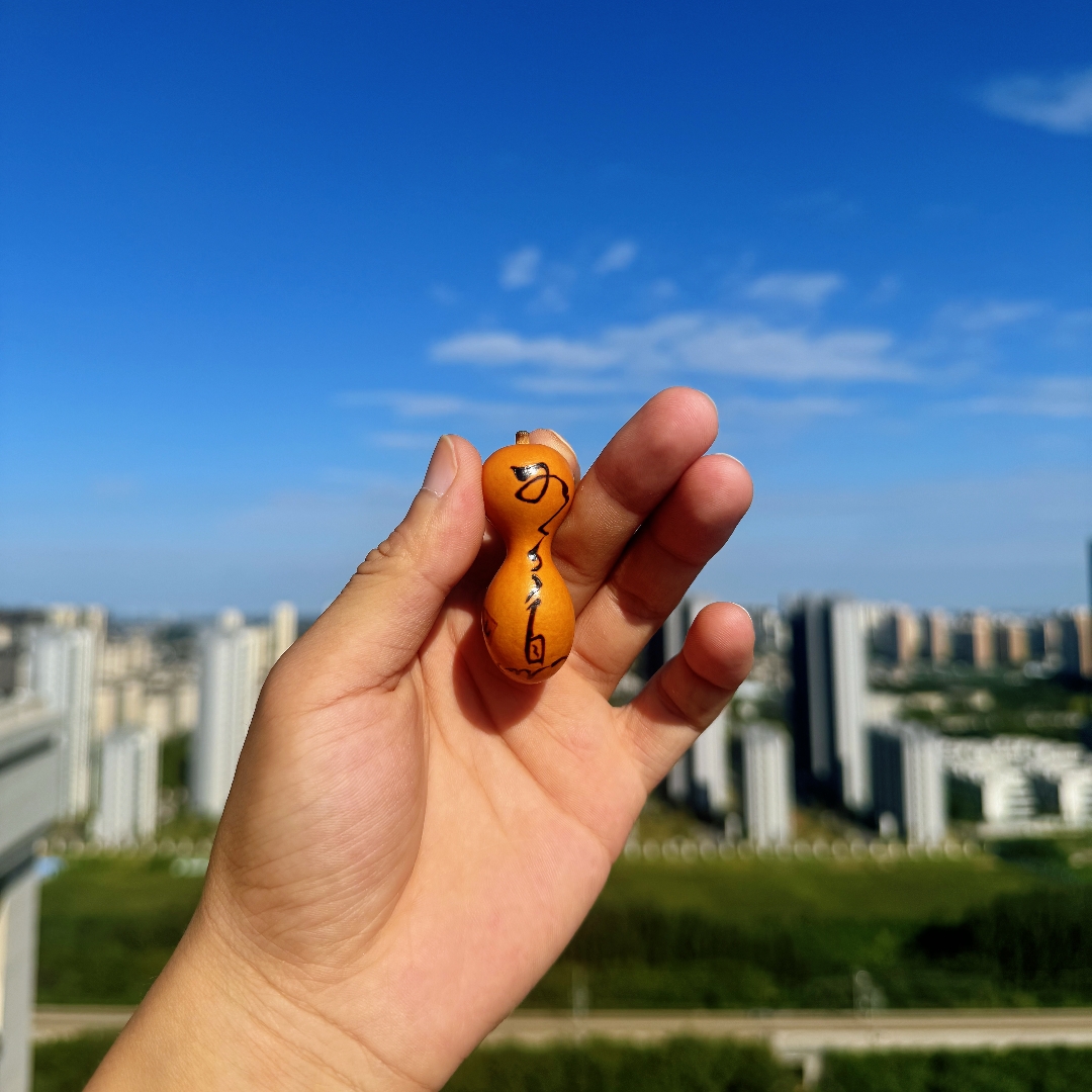 【专属链接】对应价格下单文玩葫芦蚂蚁金蝉异形葫芦摆件文玩小葫芦