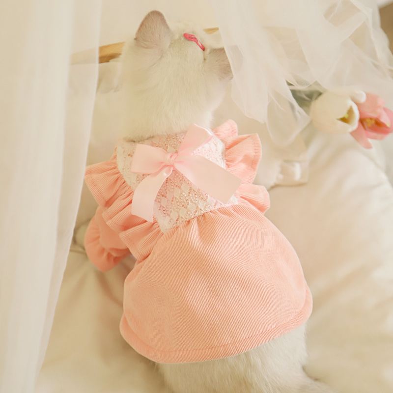 猫咪衣服冬季保暖防掉毛秋冬小猫幼猫裙子布偶冬猫公主裙冬装