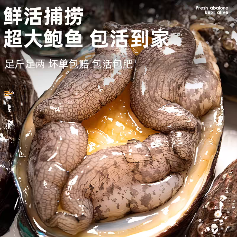 金涛甄选 10个超级鲍鱼 包邮配送到家