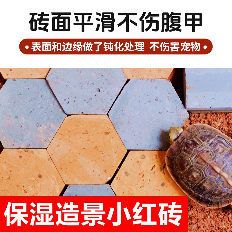 黄缘龟专用红砖龟缸造景守宫安缘龟铺地垫材吸水砖黄缘龟环境布置