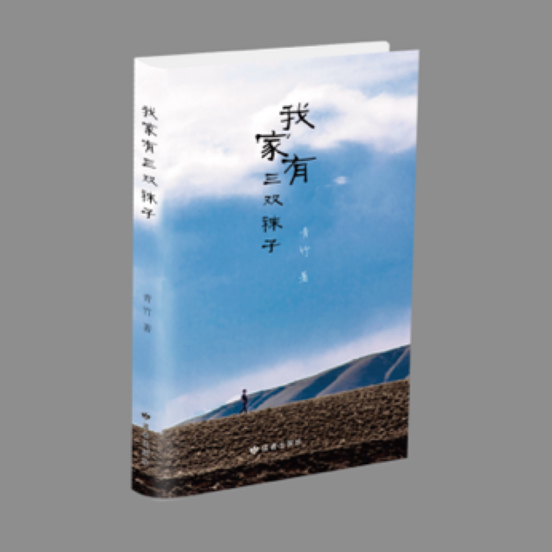 我家有三双袜子 第一部 青竹散文书籍