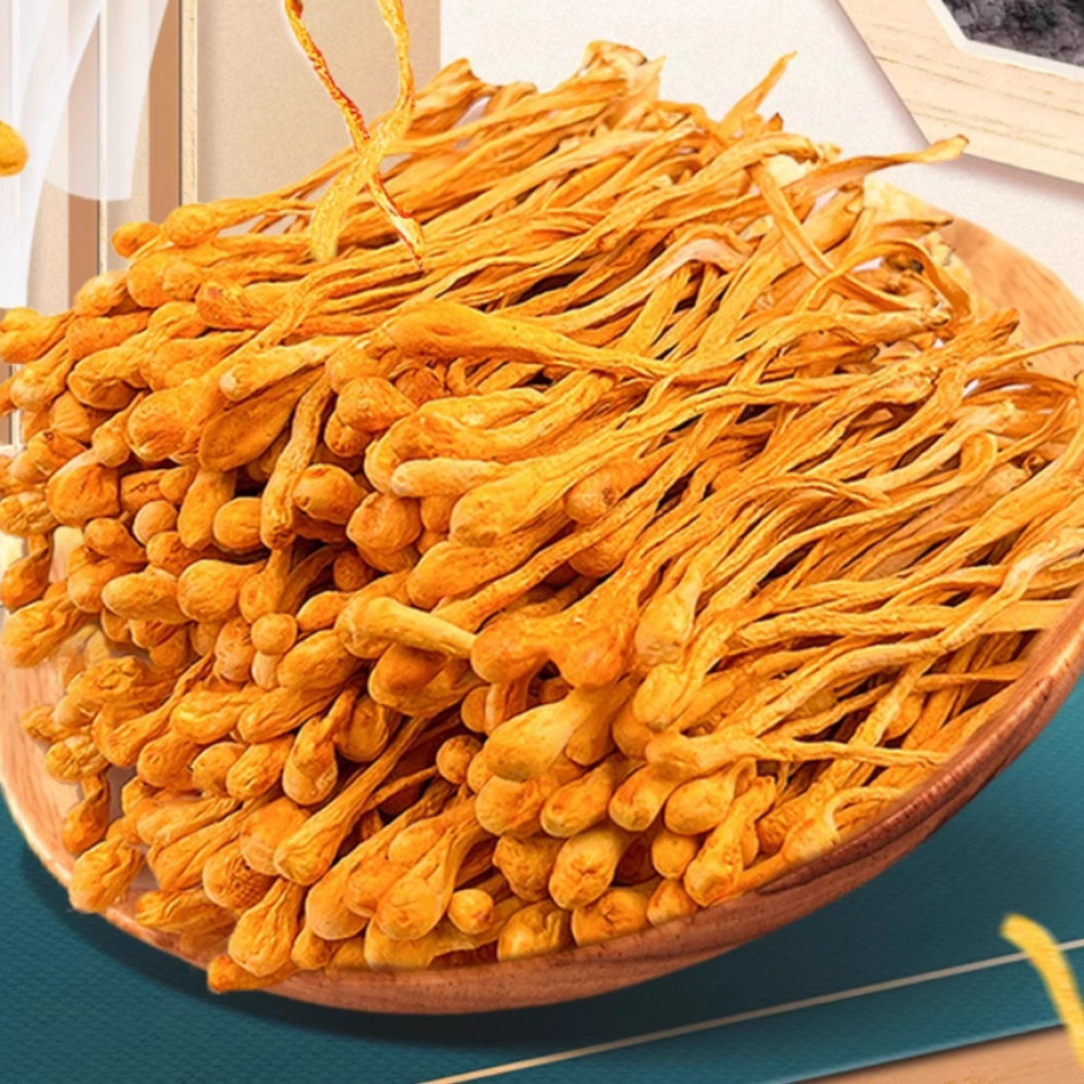 精选虫草花 250g（百干）