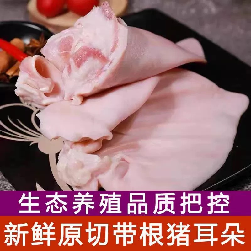 农家新鲜猪耳朵冷冻生猪肉散养猪耳肉带根卤菜土猪猪耳片生鲜批发