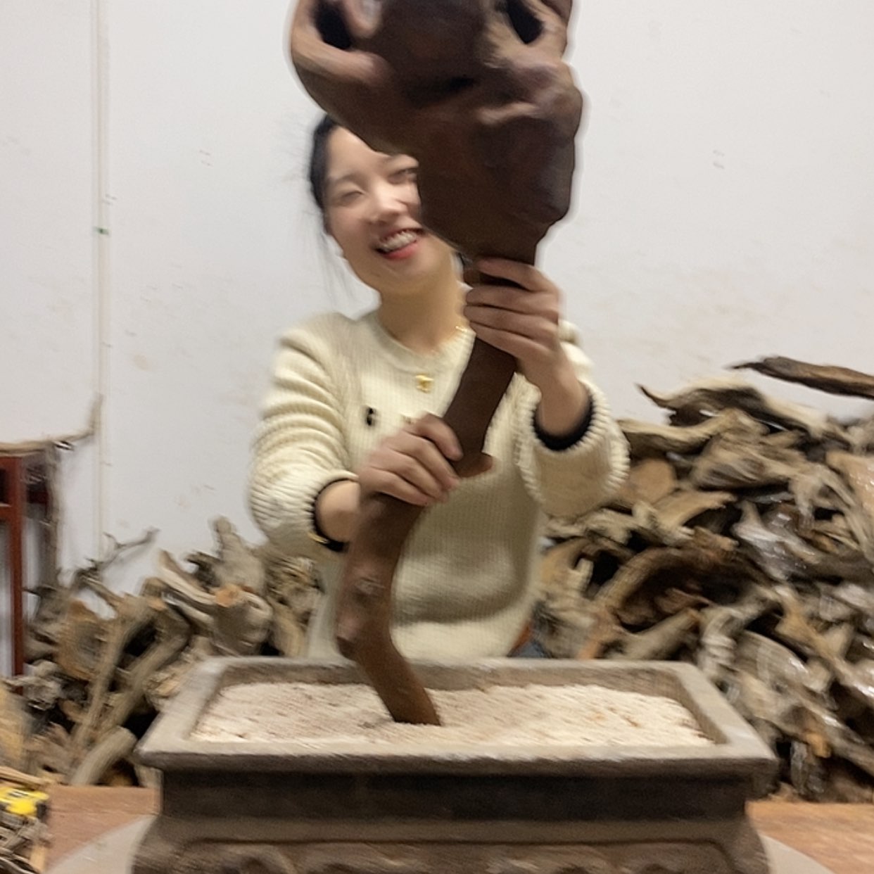 【闪购商品】柏木探*