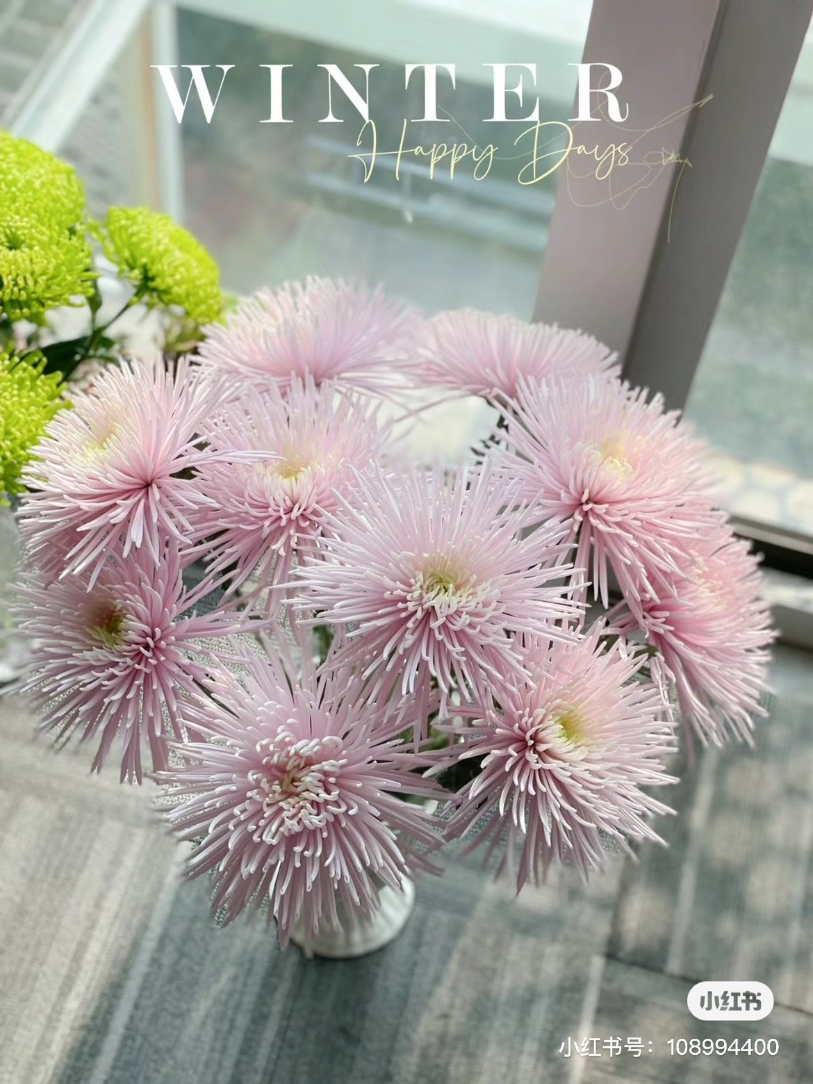 烟花菊，乒乓菊都有 两个链接包邮