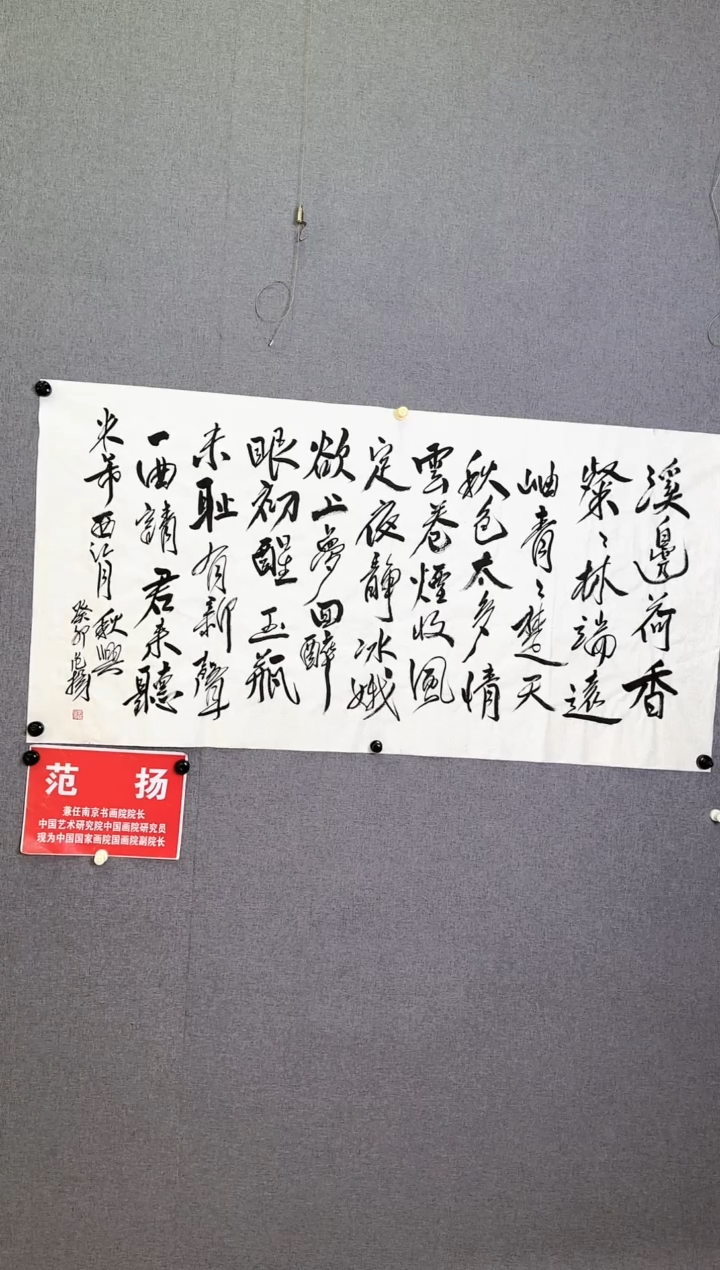 【闪购商品】书法范扬8